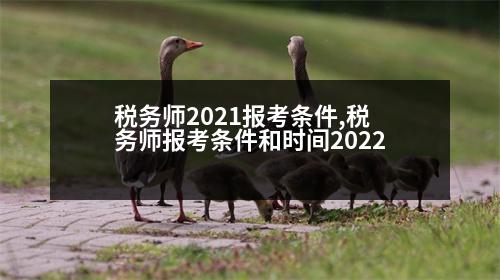 稅務(wù)師2021報(bào)考條件,稅務(wù)師報(bào)考條件和時(shí)間2022