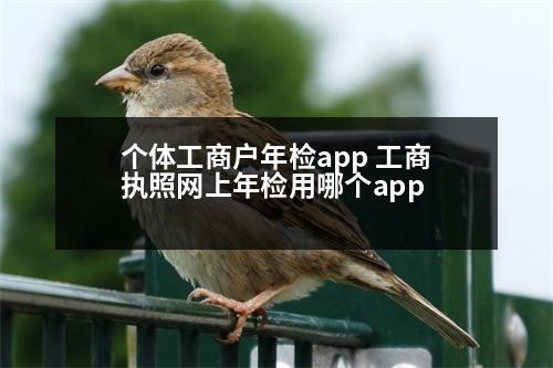 個(gè)體工商戶年檢app 工商執(zhí)照網(wǎng)上年檢用哪個(gè)app