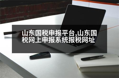 山東國稅申報平臺,山東國稅網(wǎng)上申報系統(tǒng)報稅網(wǎng)址