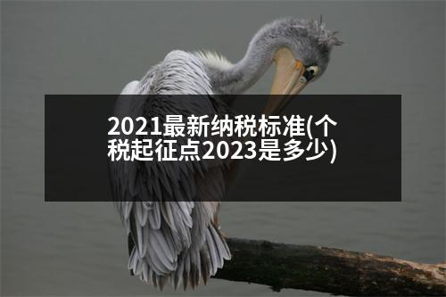 2021最新納稅標(biāo)準(zhǔn)(個稅起征點2023是多少)