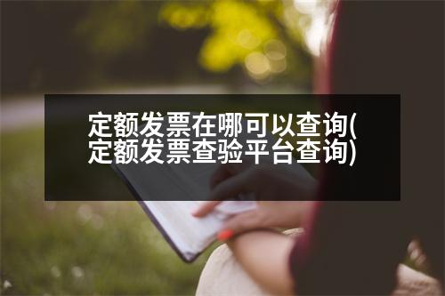 定額發(fā)票在哪可以查詢(定額發(fā)票查驗(yàn)平臺(tái)查詢)