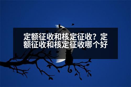 定額征收和核定征收？定額征收和核定征收哪個好