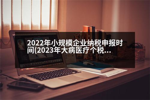 2022年小規(guī)模企業(yè)納稅申報(bào)時(shí)間(2023年大病醫(yī)療個(gè)稅什么時(shí)候填)