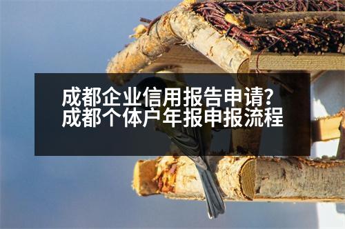 成都企業(yè)信用報(bào)告申請？成都個(gè)體戶年報(bào)申報(bào)流程