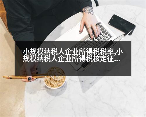 小規(guī)模納稅人企業(yè)所得稅稅率,小規(guī)模納稅人企業(yè)所得稅核定征收