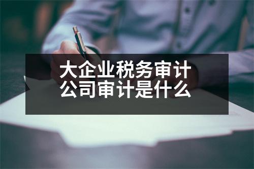 大企業(yè)稅務(wù)審計(jì) 公司審計(jì)是什么