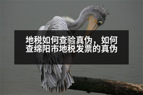 地稅如何查驗真?zhèn)?，如何查綿陽市地稅發(fā)票的真?zhèn)?></p><p style=