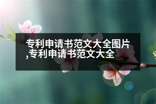 專利申請(qǐng)書(shū)范文大全圖片,專利申請(qǐng)書(shū)范文大全