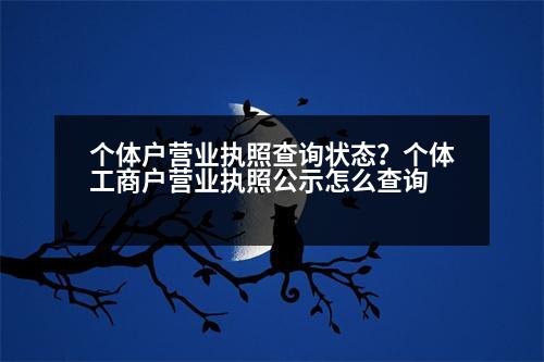 個(gè)體戶營(yíng)業(yè)執(zhí)照查詢狀態(tài)？個(gè)體工商戶營(yíng)業(yè)執(zhí)照公示怎么查詢