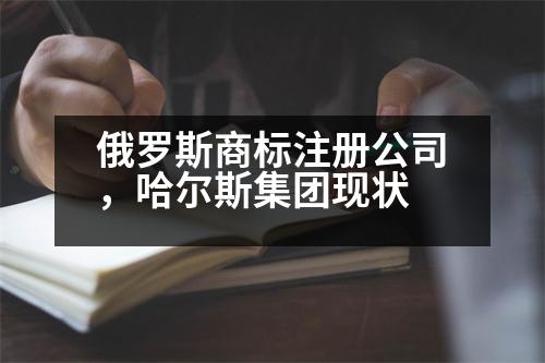 俄羅斯商標(biāo)注冊(cè)公司，哈爾斯集團(tuán)現(xiàn)狀