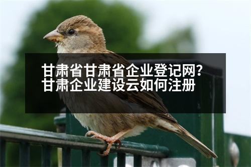 甘肅省甘肅省企業(yè)登記網(wǎng)？甘肅企業(yè)建設(shè)云如何注冊