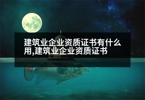 建筑業(yè)企業(yè)資質(zhì)證書(shū)有什么用,建筑業(yè)企業(yè)資質(zhì)證書(shū)