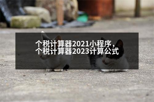 個稅計算器2021小程序，個稅計算器2023計算公式