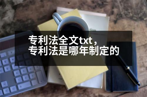 專利法全文txt，專利法是哪年制定的