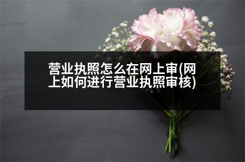 營業(yè)執(zhí)照怎么在網(wǎng)上審(網(wǎng)上如何進(jìn)行營業(yè)執(zhí)照審核)