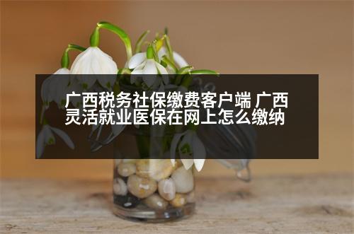 廣西稅務(wù)社保繳費(fèi)客戶端 廣西靈活就業(yè)醫(yī)保在網(wǎng)上怎么繳納