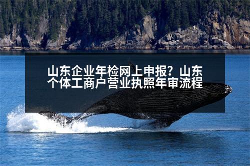 山東企業(yè)年檢網(wǎng)上申報？山東個體工商戶營業(yè)執(zhí)照年審流程