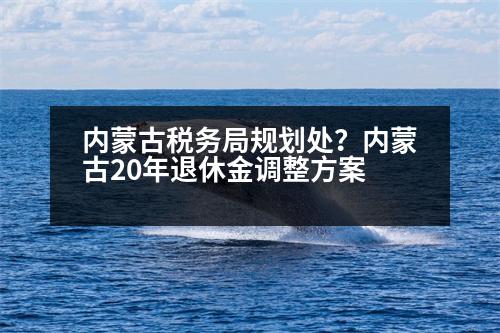 內(nèi)蒙古稅務(wù)局規(guī)劃處？?jī)?nèi)蒙古20年退休金調(diào)整方案