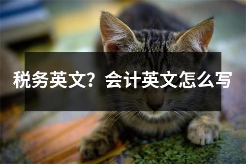 稅務英文？會計英文怎么寫