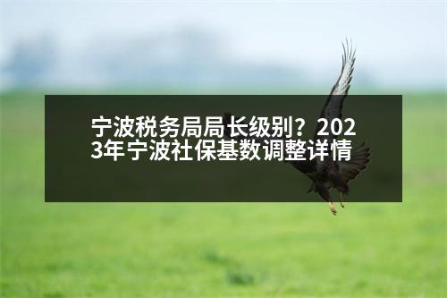 寧波稅務(wù)局局長級別？2023年寧波社保基數(shù)調(diào)整詳情