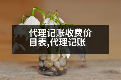 代理記賬收費價目表,代理記賬