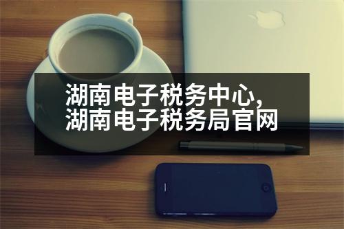 湖南電子稅務(wù)中心,湖南電子稅務(wù)局官網(wǎng)