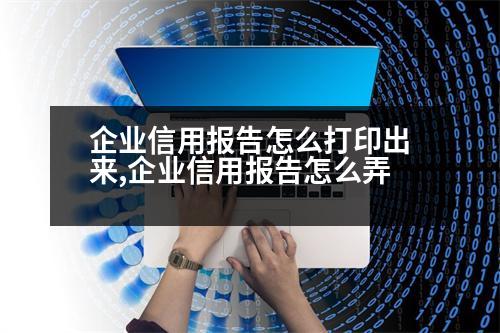 企業(yè)信用報(bào)告怎么打印出來,企業(yè)信用報(bào)告怎么弄