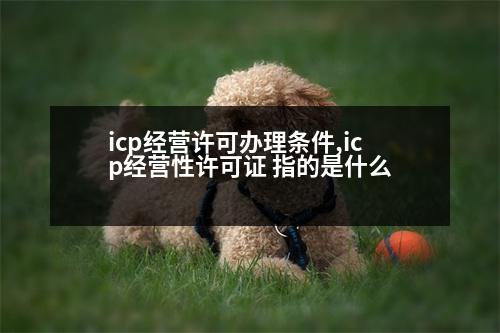 icp經(jīng)營許可辦理?xiàng)l件,icp經(jīng)營性許可證 指的是什么