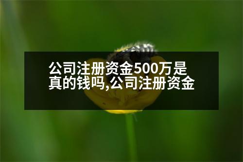 公司注冊(cè)資金500萬(wàn)是真的錢(qián)嗎,公司注冊(cè)資金