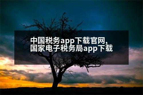 中國稅務(wù)app下載官網(wǎng),國家電子稅務(wù)局app下載