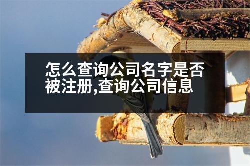 怎么查詢(xún)公司名字是否被注冊(cè),查詢(xún)公司信息