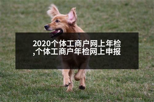 2020個(gè)體工商戶網(wǎng)上年檢,個(gè)體工商戶年檢網(wǎng)上申報(bào)