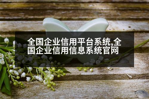 全國企業(yè)信用平臺(tái)系統(tǒng),全國企業(yè)信用信息系統(tǒng)官網(wǎng)