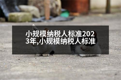 小規(guī)模納稅人標準2023年,小規(guī)模納稅人標準