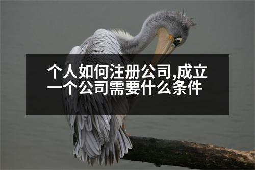 個(gè)人如何注冊(cè)公司,成立一個(gè)公司需要什么條件