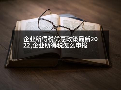 企業(yè)所得稅優(yōu)惠政策最新2022,企業(yè)所得稅怎么申報