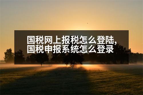 國稅網(wǎng)上報(bào)稅怎么登陸,國稅申報(bào)系統(tǒng)怎么登錄