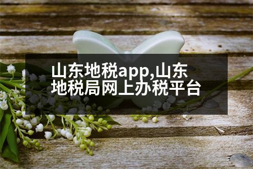 山東地稅app,山東地稅局網(wǎng)上辦稅平臺