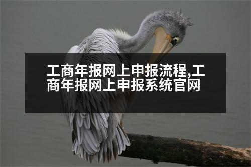 工商年報網(wǎng)上申報流程,工商年報網(wǎng)上申報系統(tǒng)官網(wǎng)