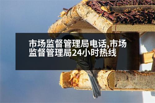 市場監(jiān)督管理局電話,市場監(jiān)督管理局24小時熱線