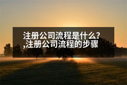 注冊(cè)公司流程是什么？,注冊(cè)公司流程的步驟