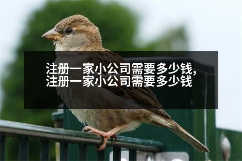 注冊一家小公司需要多少錢,注冊一家小公司需要多少錢