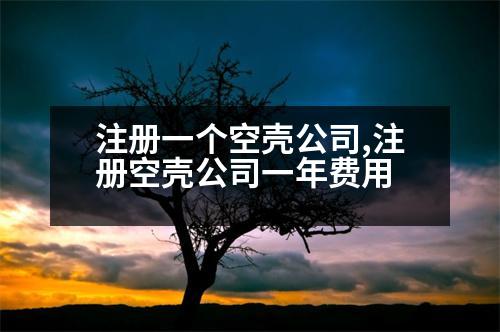 注冊(cè)一個(gè)空殼公司,注冊(cè)空殼公司一年費(fèi)用