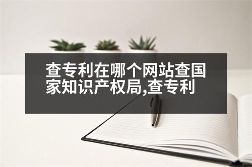 查專利在哪個(gè)網(wǎng)站查國家知識產(chǎn)權(quán)局,查專利