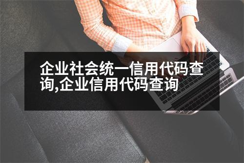 企業(yè)社會(huì)統(tǒng)一信用代碼查詢,企業(yè)信用代碼查詢