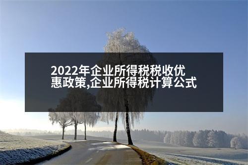 2022年企業(yè)所得稅稅收優(yōu)惠政策,企業(yè)所得稅計(jì)算公式