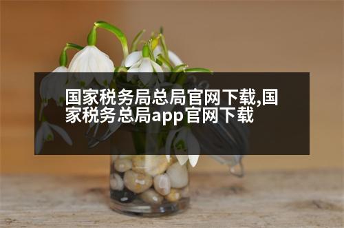 國(guó)家稅務(wù)局總局官網(wǎng)下載,國(guó)家稅務(wù)總局app官網(wǎng)下載