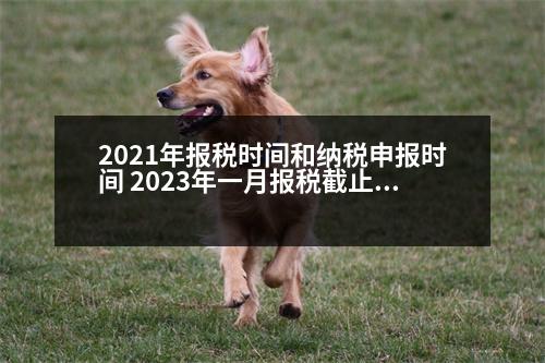 2021年報(bào)稅時(shí)間和納稅申報(bào)時(shí)間 2023年一月報(bào)稅截止日期