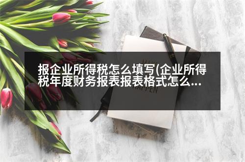 報(bào)企業(yè)所得稅怎么填寫(xiě)(企業(yè)所得稅年度財(cái)務(wù)報(bào)表報(bào)表格式怎么填)