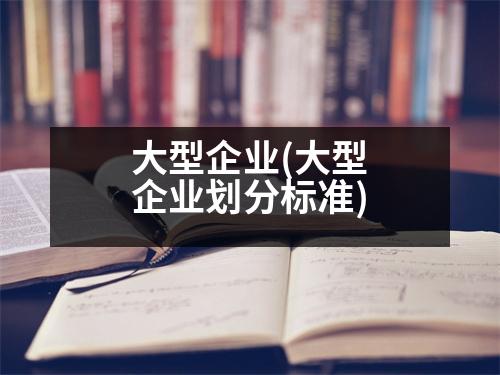 大型企業(yè)(大型企業(yè)劃分標(biāo)準(zhǔn))